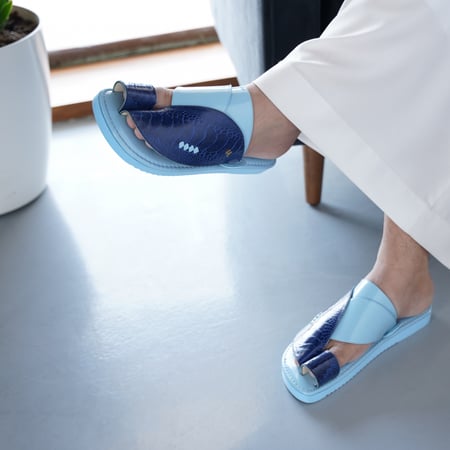 ساق نعام كحلي مع سماوي