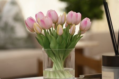 توليب زهري فاتح