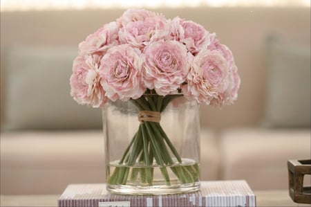 بيوني زهري كبير