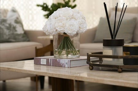 بيوني ابيض  كبير