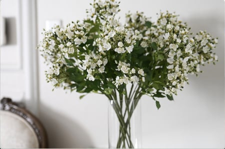 12 غصن من ورد الواكس