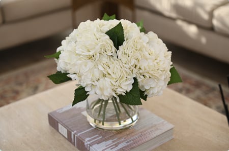 هدرنجا ملمس طبيعي