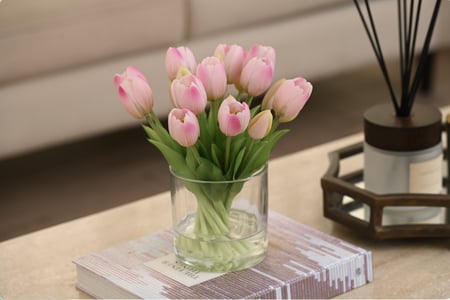 توليب زهري فاتح