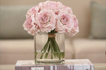 بيوني زهري  وسط