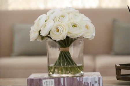 ورد الرانكلس حجم كبير