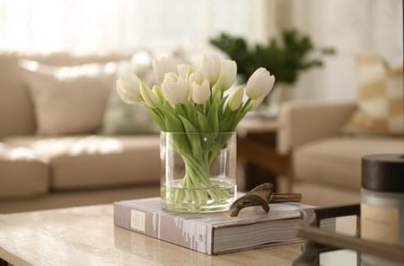 توليب ابيض ملمس طبيعي