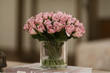 بيبي جوري زهري