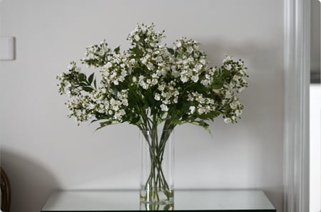 12 غصن من ورد الواكس