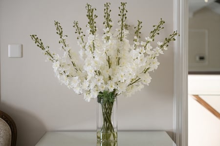 هدرنجا طويلة