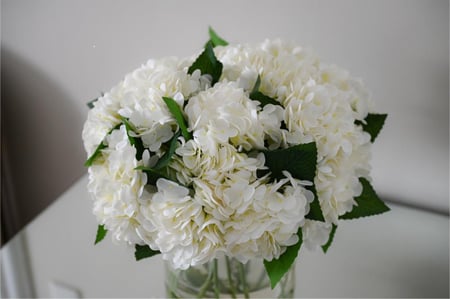 هدرنجا حجم كبير جدًا ملمس طبيعي اوف وايت