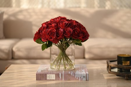 جوري احمر كبير