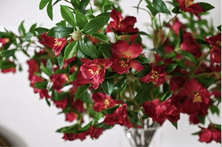 زهور الكاميليا ملمس طبيعي