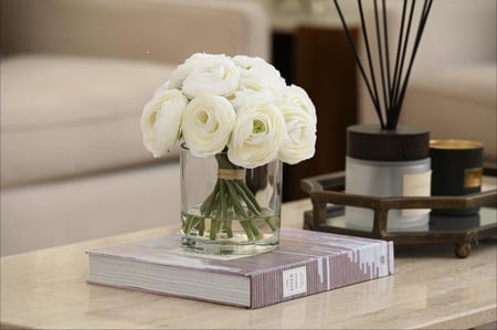 ورد الرانكلس