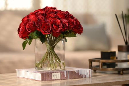 جوري احمر كبير