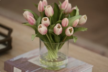 توليب زهري ملمس طبيعي