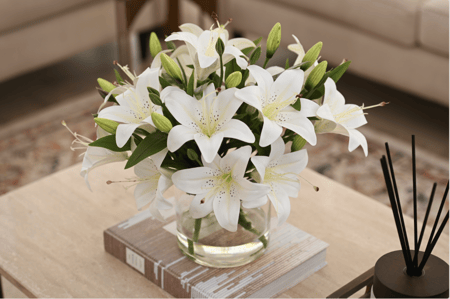 الليليوم كبير