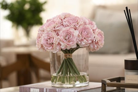 بيوني زهري كبير