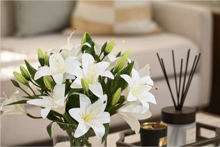 الليليوم كبير