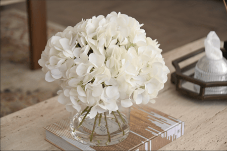 هدرنجا ابيض