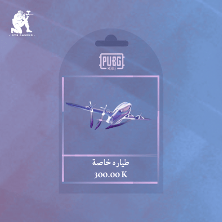 طيارة خاصة مثيك