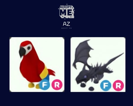 عرض الشادو و الببغاء