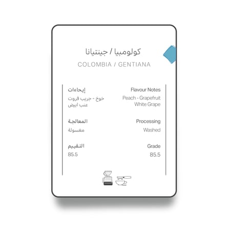 كولومبيا جينتيانا - اش | Gentiana