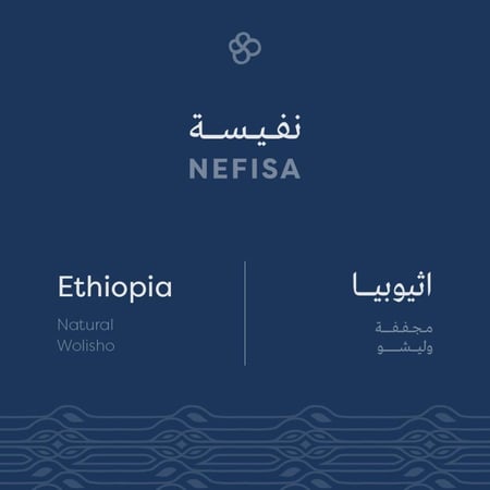 اثيوبيا نفيسة - سبيشلتي بين | Nefisa
