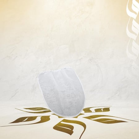 مصفاة نظام التحضير البارد - الاصدار التجاري من تودي | TODDY