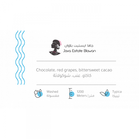 جافا بلاوان - بيت التحميص | Java