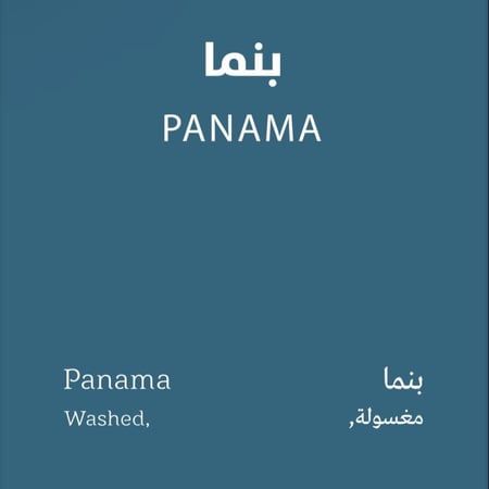 بنما - سبيشلتي بين | Panama