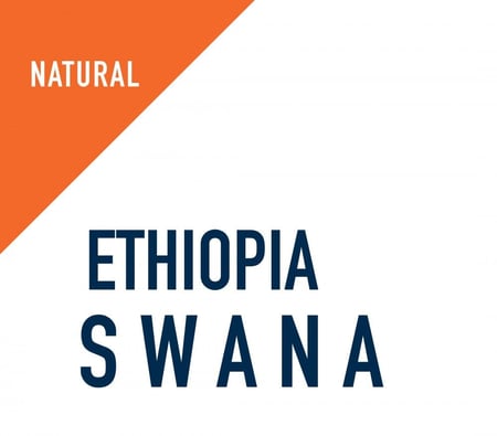اثيوبيا سوانا قوجي - ادمي | Swana