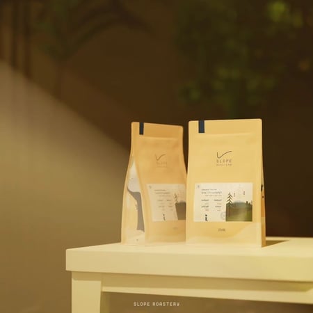 كولومبيا كلوديا تخمير - سلوب | Claudia