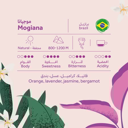 برازيل موجيانا - بريهانت | Mogiana