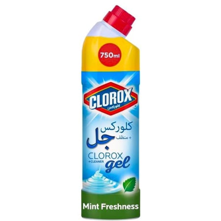 كلوركس منظف ومطهر جل متعدد الاستخدام بعطر النعناع 750 مل