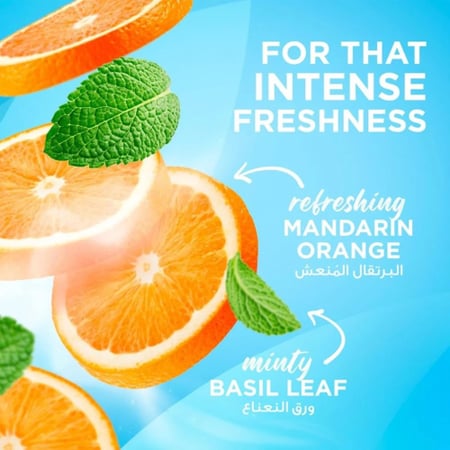 كلوس اب معجون أسنان كول فريش بالليمون والنعناع - 75 مل