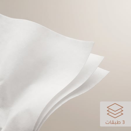 مناديل لتين 600 منديل