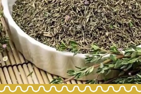 درزن الزعتر البري