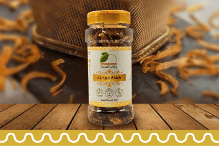 كشنة المدينة