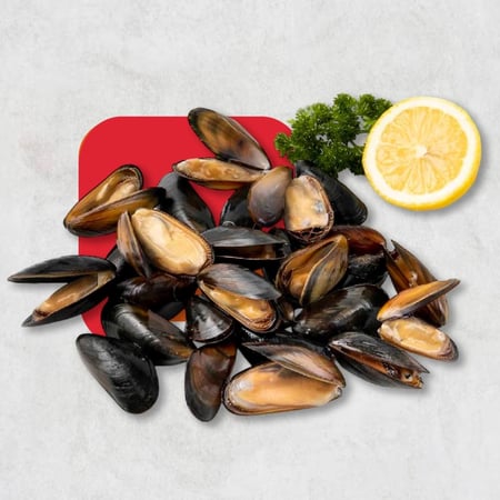 قواقع البحر - Half Shell Mussels