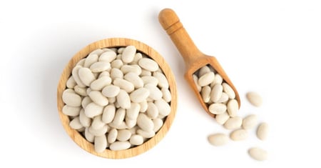 فاصولية بيضا