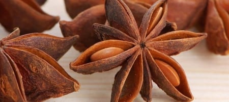 زهرة اليانسون