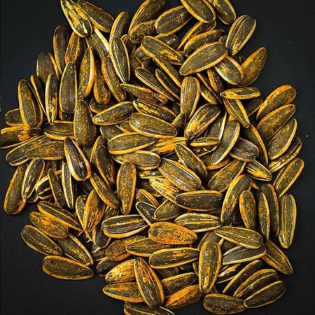 حب شمسي - مدخن