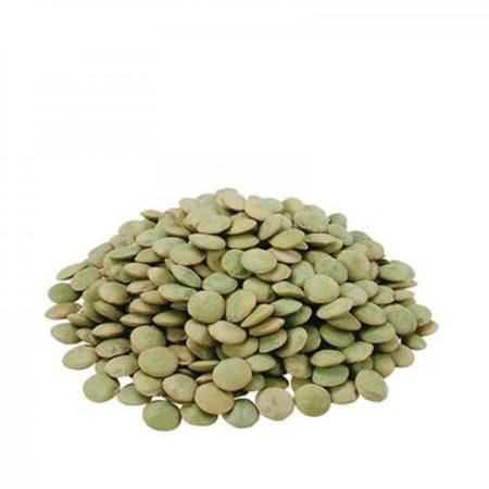 عدس اخضر