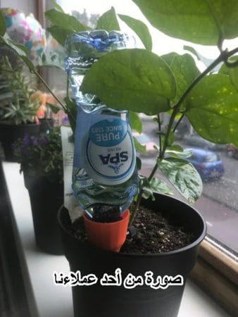 نظام تنقيط للري للشجيرات الصغيرة والشتلات عدد (3)