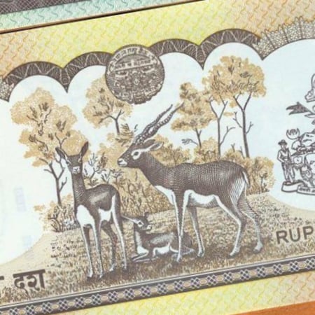 نيبال فئة 10 روبية انسر بوليمر