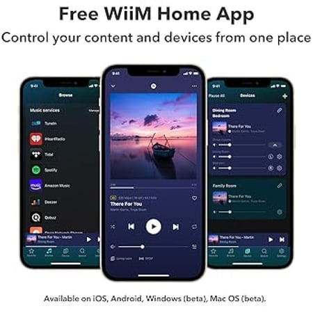WiiM Amp مضخم صوت