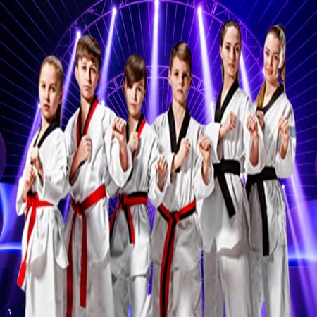 واقي قدم و ساق كاراتيه