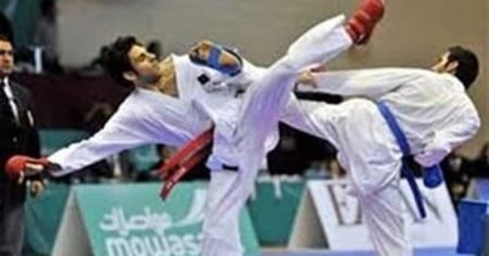 واقي قدم و ساق كاراتيه