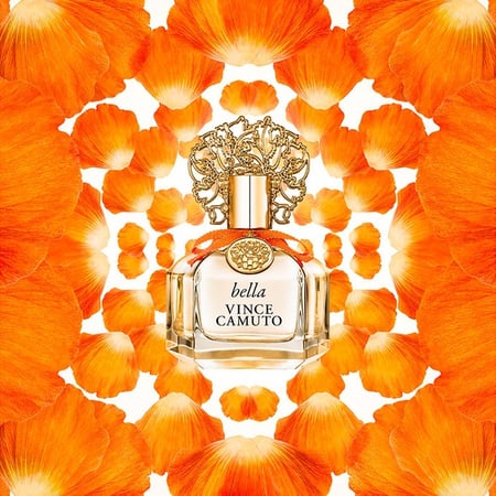 عطر فينس كاموتو بيلا- او دي بريفيوم- 100 مل