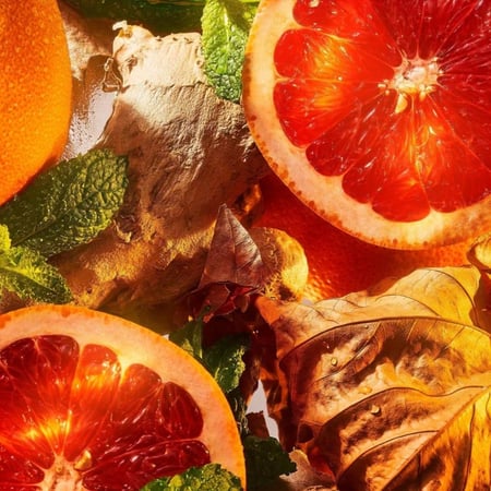 عطر روجا دوفا بيرلينجتون 1819 او دو بارفيوم 100 مل